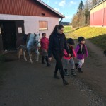 IMG_0290